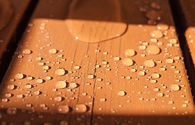 Staining Prevents Mold and Mildew Growth
